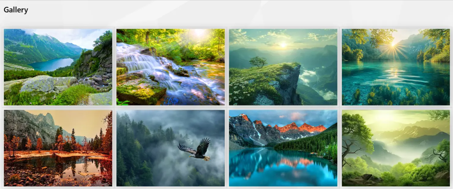 SharePoint Gallery Web Part showing responsive grid display of corporate photography with filter controls