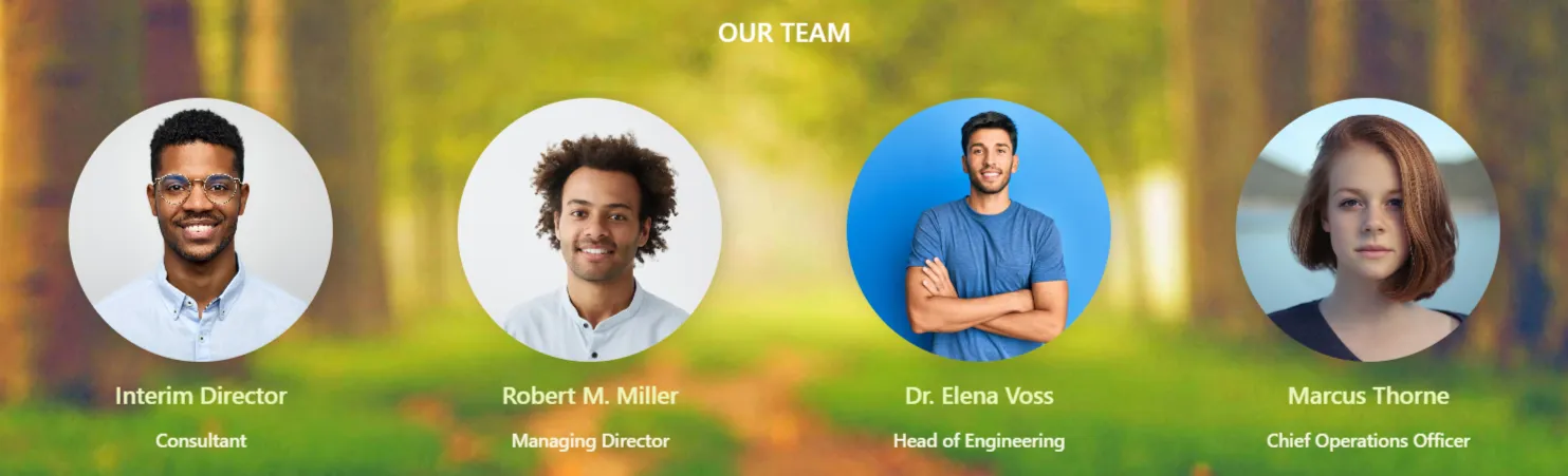 SharePoint Our Team Web Part displaying leadership profiles, organizational hierarchy cards, and contact details