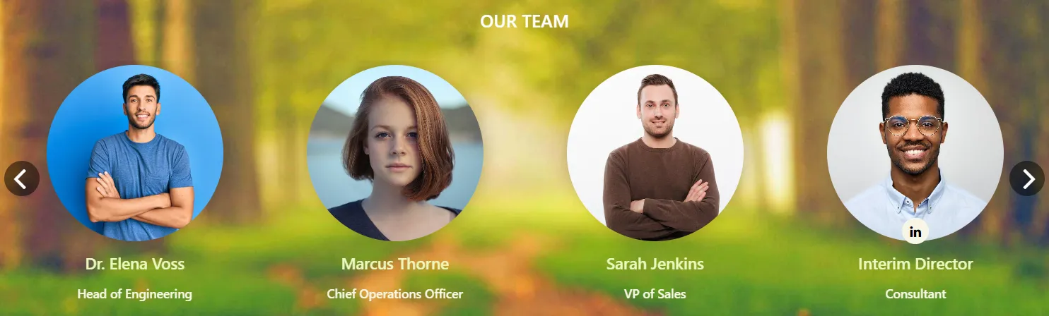 Enterprise SharePoint Team Showcase – Profile Layout Enterprise SharePoint Team Showcase – Sleek Professional Profiles UI